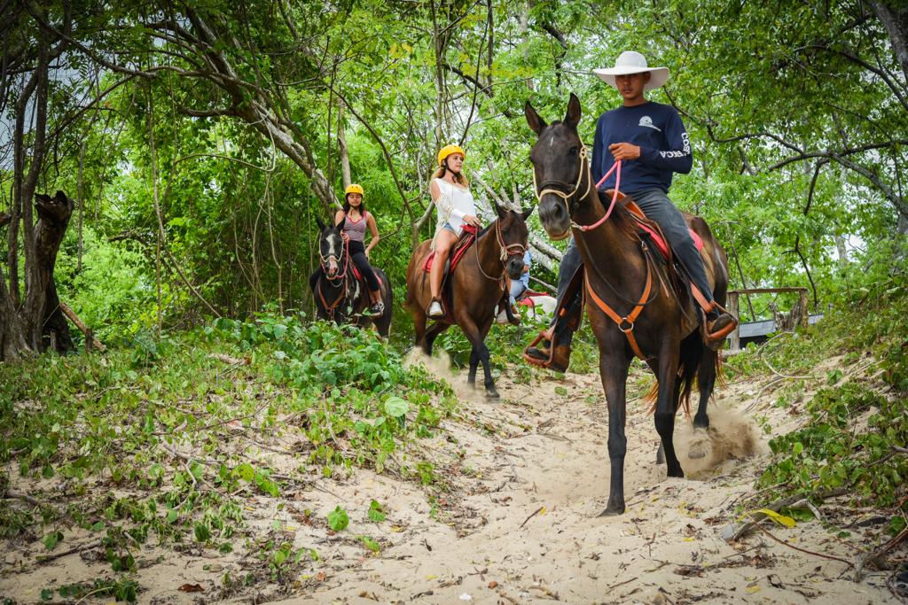 horseback riding jaco costa rica
