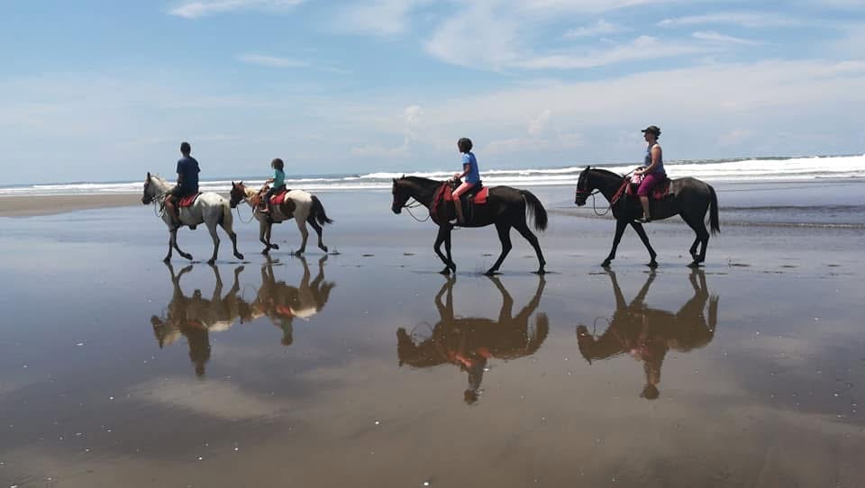 horseback riding jaco costa rica horseback riding jaco costa rica
