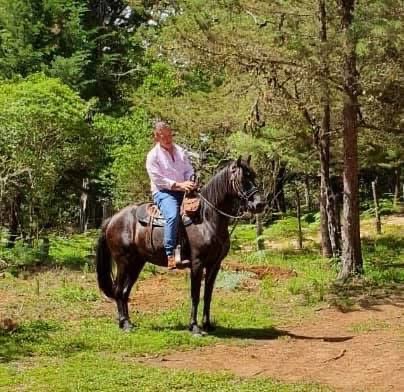 horseback riding jaco costa rica horseback riding jaco costa rica