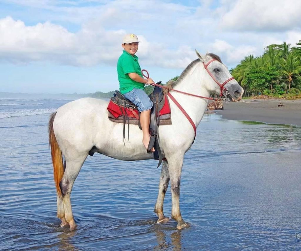 horseback riding jaco costa rica horseback riding jaco costa rica