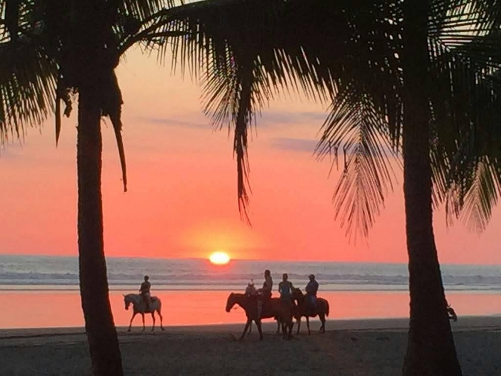 horseback riding jaco costa rica horseback riding jaco costa rica