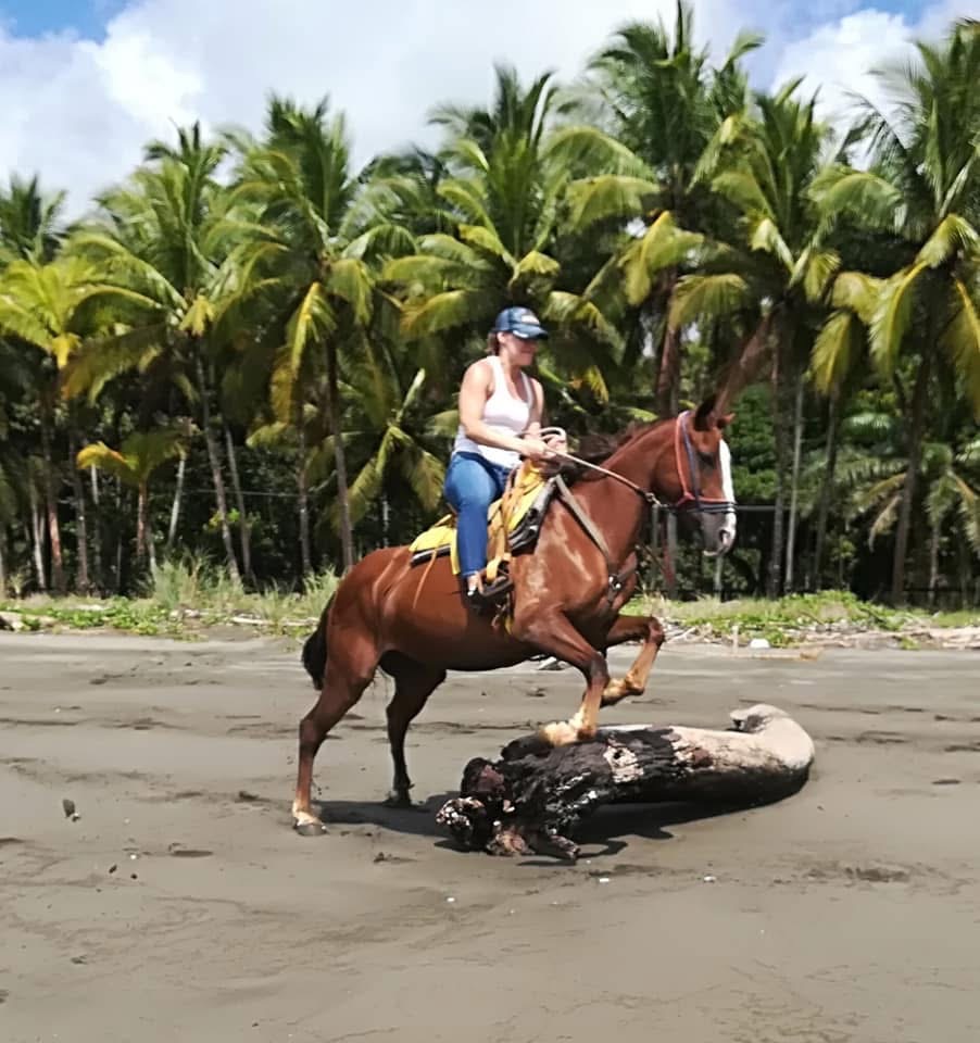 horseback riding jaco costa rica horseback riding jaco costa rica