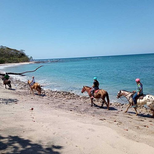 horseback riding jaco costa rica horseback riding jaco costa rica