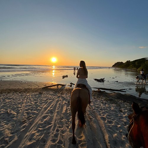 horseback riding jaco costa rica horseback riding jaco costa rica