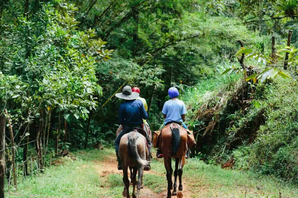 horseback riding jaco costa rica horseback riding jaco costa rica