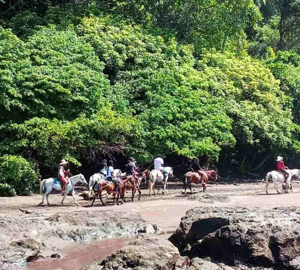 horseback riding jaco costa rica horseback riding jaco costa rica